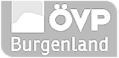 Logo OEVP-Burgenland - Relaunch SEO Concept